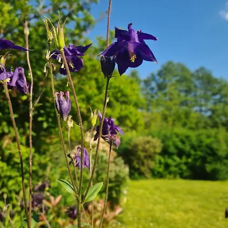 בית נופש 4 Etoiles La Belle Eau Calme Futeau