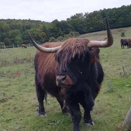 4 étoiles La Belle Eau Calme Casa vacanze *