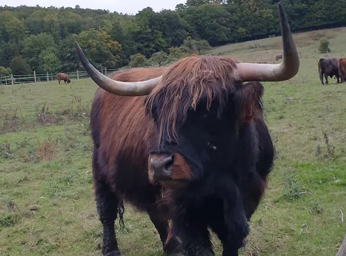 4 Etoiles La Belle Eau Calme 度假居 *